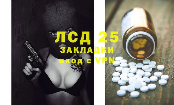 индика Осинники
