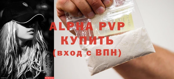 индика Осинники