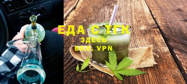 индика Осинники