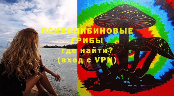 индика Осинники