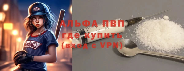 индика Осинники