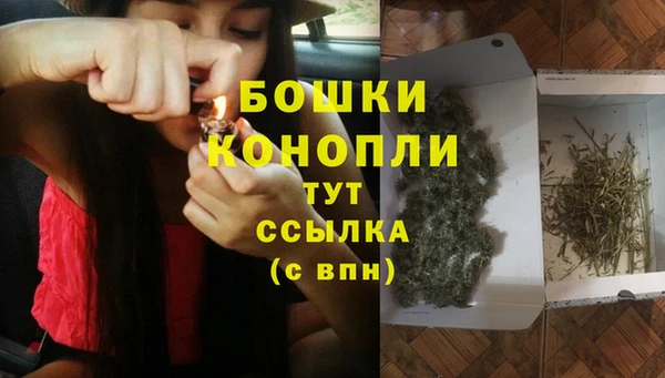 индика Осинники