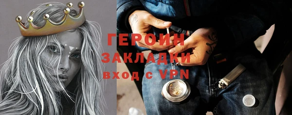индика Осинники