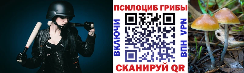 где продают наркотики  blacksprut ТОР  Галлюциногенные грибы Psilocybe  Ряжск 